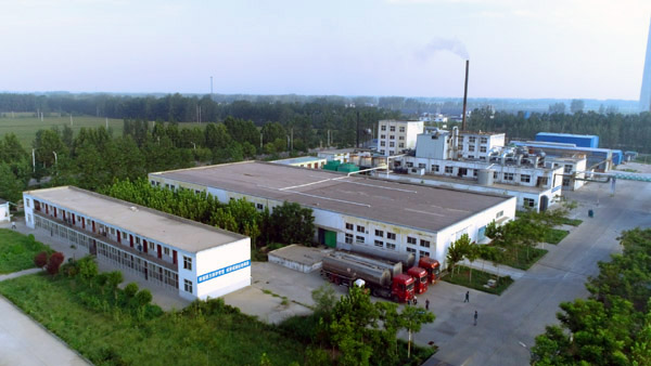 山东省科技厅来我司调研并给予高度赞扬！